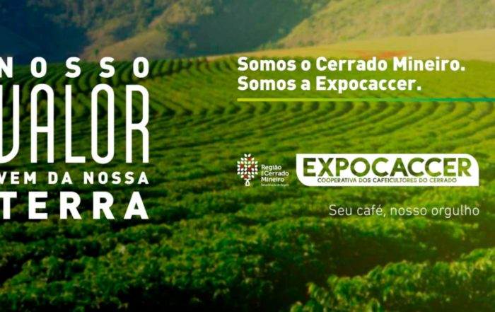 Homepage do site da Expocaccer